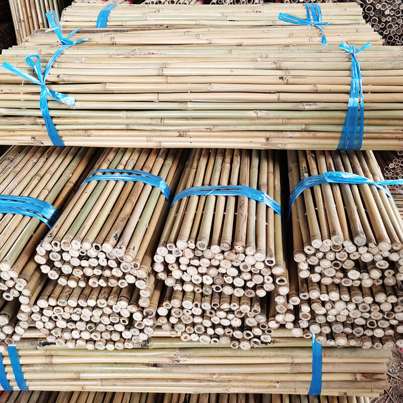 Bamboo-fences